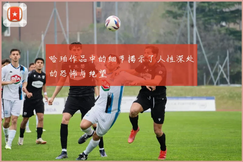 哈珀作品中的细节揭示了人性深处的恐怖与绝望