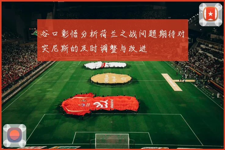 谷口彰悟分析荷兰之战问题期待对突尼斯的及时调整与改进