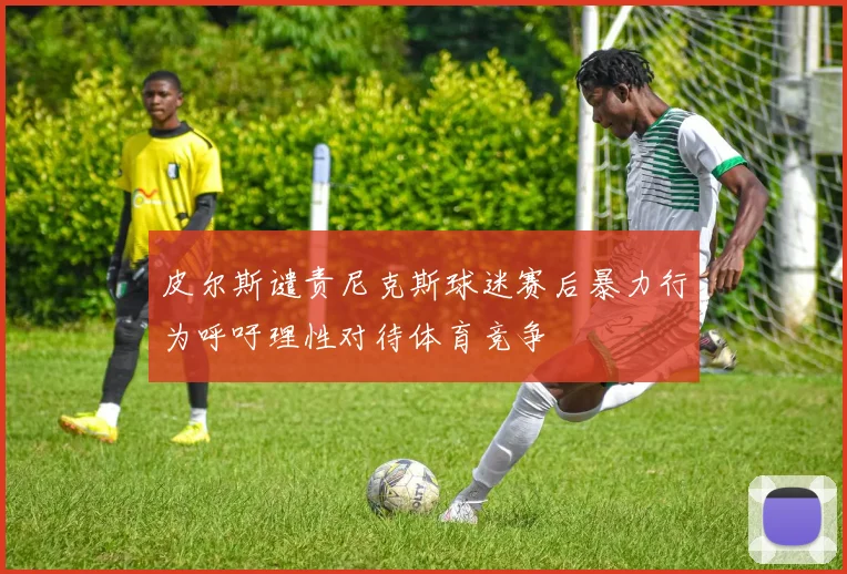 皮尔斯谴责尼克斯球迷赛后暴力行为呼吁理性对待体育竞争